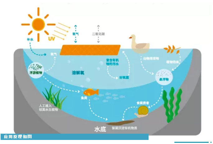 污水處理設備__全康環(huán)保QKEP