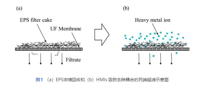 污水處理設備__全康環(huán)保QKEP
