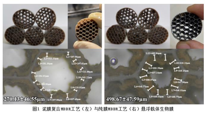 污水處理設備__全康環(huán)保QKEP