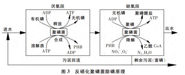 污水處理設備__全康環(huán)保QKEP