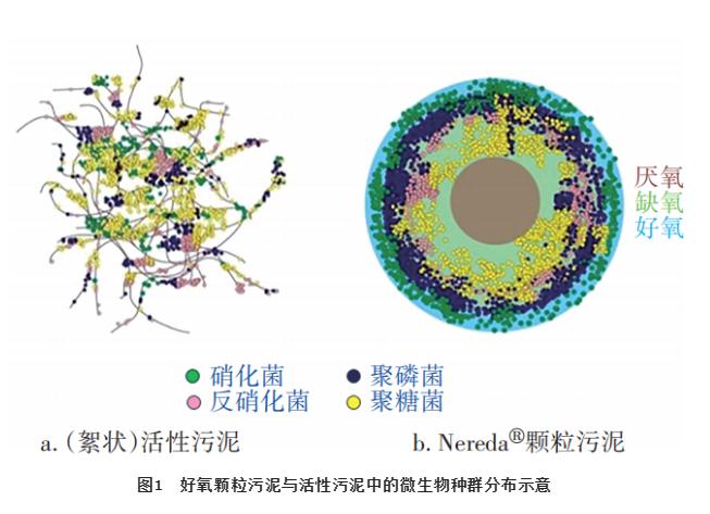 污水處理設備__全康環(huán)保QKEP