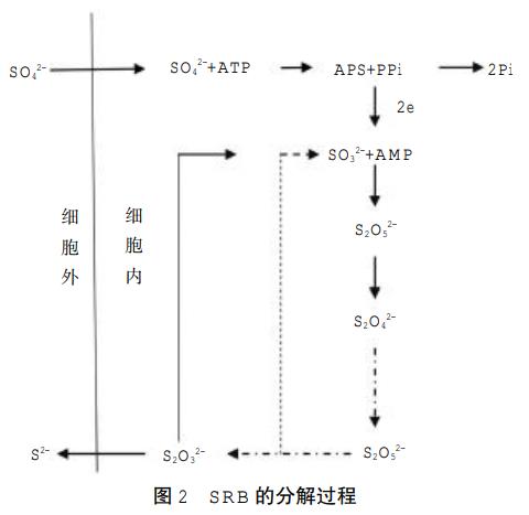 污水處理設備__全康環(huán)保QKEP