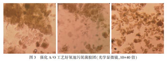 污水處理設備__全康環(huán)保QKEP
