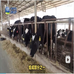畜禽養殖廢水污染嚴重，需加強治理